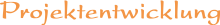 Projektentwicklung