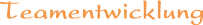 Teamentwicklung